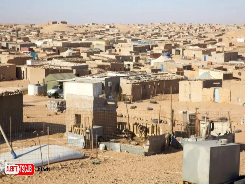 ALERTE TSGJB Sahara : l’ONU propose une consultation sur le plan d’autonomie marocain
